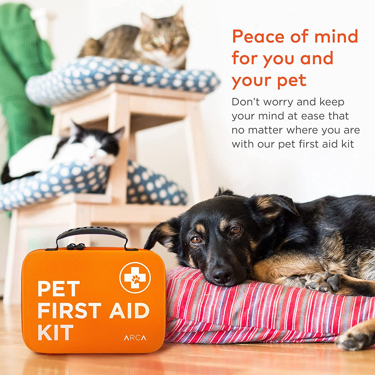 Cat & Dog First Aid Kit for Car - Pet Emergency Kit for Home Office Travel – Dog Camping Essentials with Digital Thermometer, Muzzle & Mini First Aid Pouch