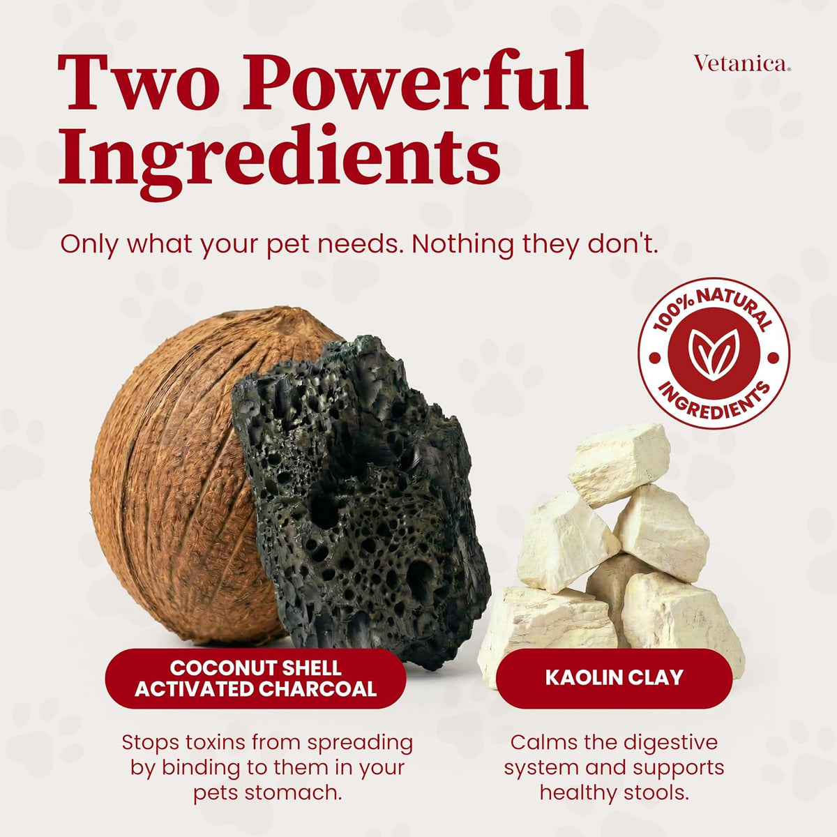 PawMergency® Activated Charcoal + Kaolin Pet First-Aid Paste (30 mL)