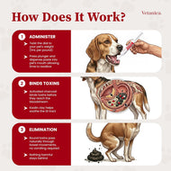 PawMergency® Activated Charcoal + Kaolin Pet First-Aid Paste (30 mL)